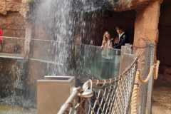 094f7c28-2ad7-4de1-af8f-098f3df7cb64