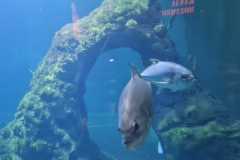 1f1fa492-e564-43b7-a75f-520843b04fbb