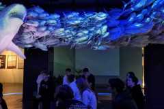 4543f406-1cf5-4c1c-922c-a8cd3d44d796