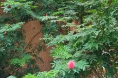 aff37ce3-d717-42d1-8edb-5cc8f03be105