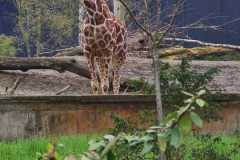 e078f7c6-b8e0-45ca-a7b2-5d6cea9ea4f2