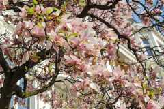 eff2af74-1a87-4bd6-94b2-43bc3bacafa6