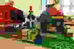 03