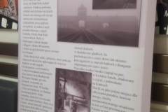 481821357_1136205821637977_5351756589397236013_n