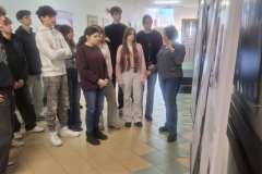 481979429_1136205828304643_124088475913262139_n