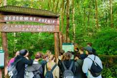 IMG-20250529-WA0015