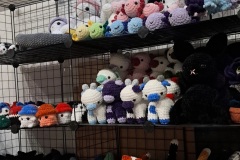 IMG_20250522_205945_980