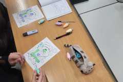 WhatsApp-Image-2025-12-19-at-00.23.53