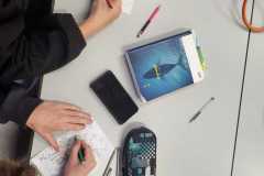 WhatsApp-Image-2025-12-19-at-00.23.54