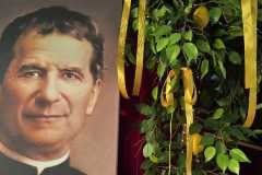 WhatsApp-Image-2026-02-02-at-13.11.41