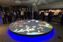 WhatsApp-Image-2026-03-18-at-15.48.39-2