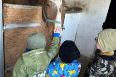 6f322866-9d22-4c7e-89f7-174ed3804d11