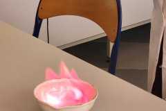 WhatsApp-Image-2026-04-18-at-15.04.02-4