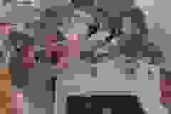 410170390_843185607806833_5652043769269879776_n