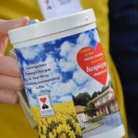 🎗️ Poszukiwani wolontariusze! 🎗️