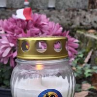 „Szkoła Pamięta”